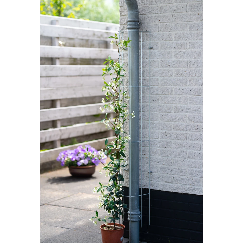 Nature - Metalen Geplastificeerd Regenpijpklimrek Groen H145cm 2 Nature - Metalen Geplastificeerd Regenpijpklimrek Groen H145cm - Afbeelding 2