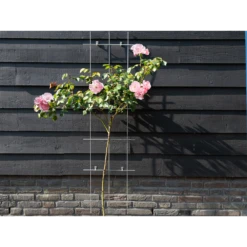 Nature - Metalen Klimrek Geplastificeerd Grijs H145x42,5cm -Botanische Tuin nature metalen klimrek geplastificeerd grijs h145x42 5cm 3 2