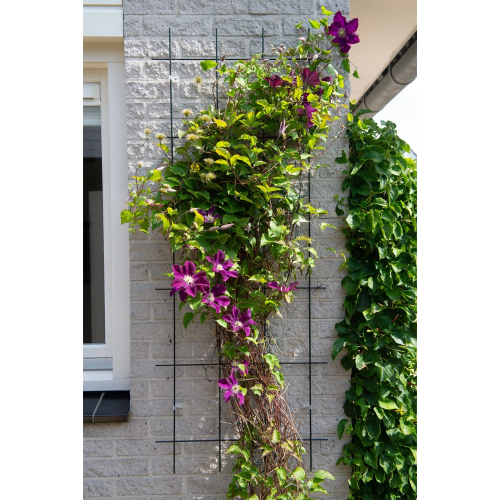 Nature - Metalen Klimrek Geplastificeerd Grijs H145x57cm 2 Nature - Metalen Klimrek Geplastificeerd Grijs H145x57cm - Afbeelding 2