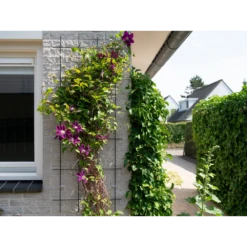 Nature - Metalen Klimrek Geplastificeerd Grijs H145x57cm 6 Nature - Metalen Klimrek Geplastificeerd Grijs H145x57cm -Botanische Tuin nature metalen klimrek geplastificeerd grijs h145x57cm 3 2