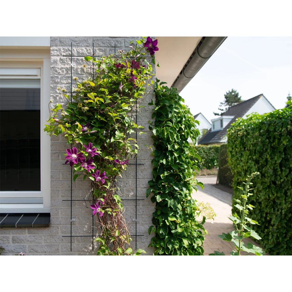 Nature - Metalen Klimrek Geplastificeerd Grijs H145x57cm 3 Nature - Metalen Klimrek Geplastificeerd Grijs H145x57cm - Afbeelding 3