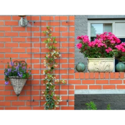 Nature - Metalen Klimrek Geplastificeerd Groen H145x72,5cm -Botanische Tuin nature metalen klimrek geplastificeerd groen h145x72 5cm 3 2