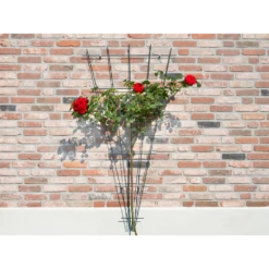 Nature - Metalen Klimrekv Geplastificeerd Groen H145x5/75cm 6 Nature - Metalen Klimrekv Geplastificeerd Groen H145x5/75cm -Botanische Tuin nature metalen klimrekv geplastificeerd groen h145x5 75cm 3 2