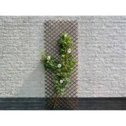 Nature - Wilgenklimrek 90x180cm -Botanische Tuin nature wilgenklimrek 90x180cm 3 2