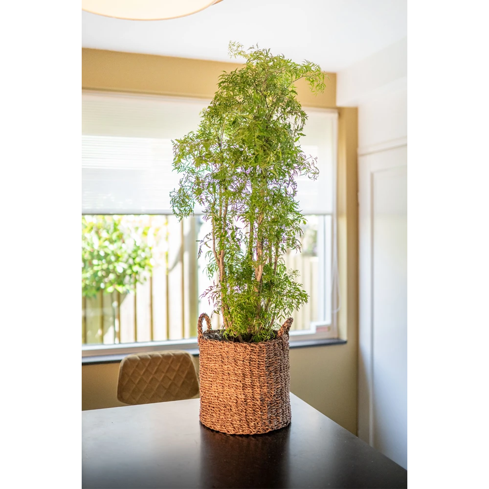 Plantenmand Joris - D33 X H31cm - Camel 2 Plantenmand Joris - D33 X H31cm - Camel - Afbeelding 2