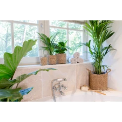 Plantenmand Joris - D38 X H33cm - Naturel 5 Plantenmand Joris - D38 X H33cm - Naturel -Botanische Tuin plantenmand joris naturel plantenmand 3 3