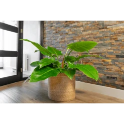 Plantenmand Stef - D36 X H36cm - Naturel -Botanische Tuin plantenmand stef d36 x h36cm naturel plantenmand 2