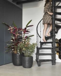 Capi Bloempot Bol Nature Rib NL - D43 X H41cm - Zwart -Botanische Tuin pot bol rib nl 43x41 zwart bloempot 6 11