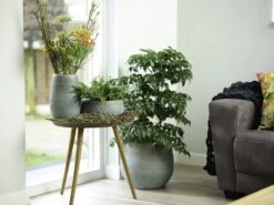 Bloempot Ryan - D26 X H26cm - Shiny Blue -Botanische Tuin pot ryan shiny blue keramiek d26 h26 bloempot 7 10