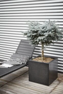 Capi Plantenbak Vierkant Lux Terrazo - L80 X B80 X H80cm - Zwart -Botanische Tuin pot vierkant 80x80x80 zwart plantenbak 7 8
