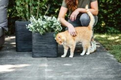 Capi Plantenbak Vierkant Nature Rib NL - L30 X B30 X H30cm - Zwart -Botanische Tuin pot vierkant rib nl 30x30x30 zwart plantenbak 7 8