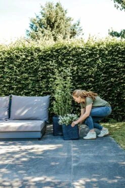 Capi Plantenbak Vierkant Nature Rib NL - L40 X B40 X H40cm - Zwart -Botanische Tuin pot vierkant rib nl 40x40x40 zwart plantenbak 7 8