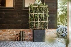 Capi Plantenbak Vierkant Nature Rib NL - L50 X B50 X H50cm - Zwart -Botanische Tuin pot vierkant rib nl 50x50x50 zwart plantenbak 7 8