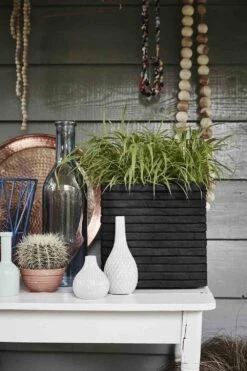 Capi Plantenbak Vierkant Nature Row NL - L30 X B30 X H30cm - Zwart -Botanische Tuin pot vierkant row nl 30x30x30 zwart plantenbak 6 9