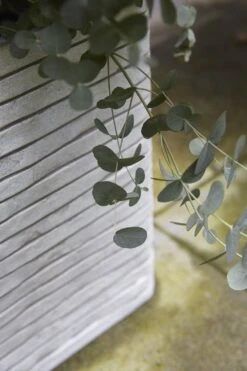 Capi Plantenbak Vierkant Nature Row NL - L40 X B40 X H40cm - Ivoor -Botanische Tuin pot vierkant row nl 40x40x40 ivoor plantenbak 6 9