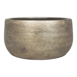 Plantenschaal Mira - D34 X H15cm - Goud