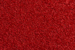 Twister Schoonloopmat - 90x60cm - Rood - Deurmat -Botanische Tuin twister schoonloopmat 90x60cm rood deurmat 2