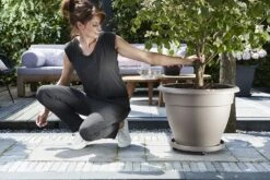 Plantentaxi Elho Universeel 30cm - Antraciet -Botanische Tuin universele planttaxi 30cm schotel antraciet 6 11