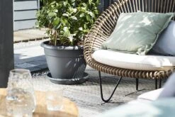 Plantenschotel Elho Universeel Rond 48cm - Antraciet -Botanische Tuin universele schotel rond 48cm schotel antraciet 6 13