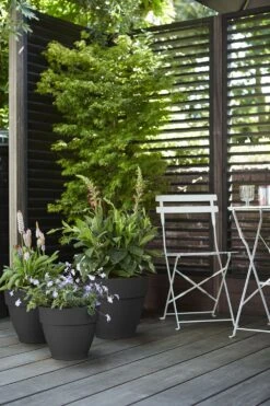 Bloempot Elho Vibia Campana Rond 35cm - Antraciet -Botanische Tuin vibia campana rond 35 bloempot antraciet 7 11