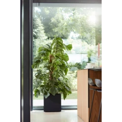 Elho Vivo Matt Finish Vierkant Wielen 40cm - Living Black 11 Elho Vivo Matt Finish Vierkant Wielen 40cm - Living Black -Botanische Tuin vivo matt finish vierkant wielen 40cm living black 6 1