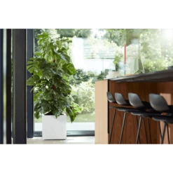 Elho Vivo Matt Finish Vierkant Wielen 40cm - Wit 13 Elho Vivo Matt Finish Vierkant Wielen 40cm - Wit -Botanische Tuin vivo matt finish vierkant wielen 40cm wit 7 1