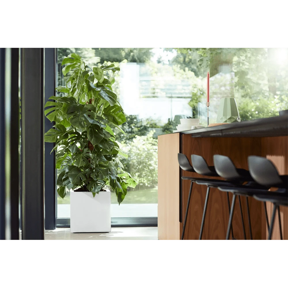 Elho Vivo Matt Finish Vierkant Wielen 40cm - Wit 7 Elho Vivo Matt Finish Vierkant Wielen 40cm - Wit - Afbeelding 7