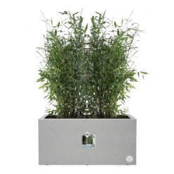 Elho Vivo Next Lang Wielen 80cm - Warm Grijs 11 Elho Vivo Next Lang Wielen 80cm - Warm Grijs -Botanische Tuin vivo matt lang wielen 80cm warm grijs 5 1