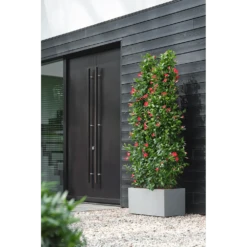 Elho Vivo Next Lang Wielen 80cm - Warm Grijs 12 Elho Vivo Next Lang Wielen 80cm - Warm Grijs -Botanische Tuin vivo matt lang wielen 80cm warm grijs 6 1