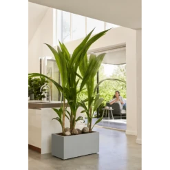 Elho Vivo Next Lang Wielen 80cm - Warm Grijs 13 Elho Vivo Next Lang Wielen 80cm - Warm Grijs -Botanische Tuin vivo matt lang wielen 80cm warm grijs 7 1