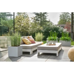 Elho Vivo Next Vierkant Wielen 40cm - Warm Grijs -Botanische Tuin vivo matt vierkant wielen 40cm warm grijs 7 1