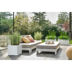 Elho Vivo Next Vierkant Wielen 30cm - Wit -Botanische Tuin vivo next vierkant wielen 30cm wit 7 1