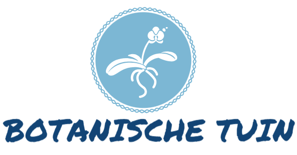 Botanische Tuin
